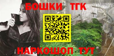 индика Кулебаки