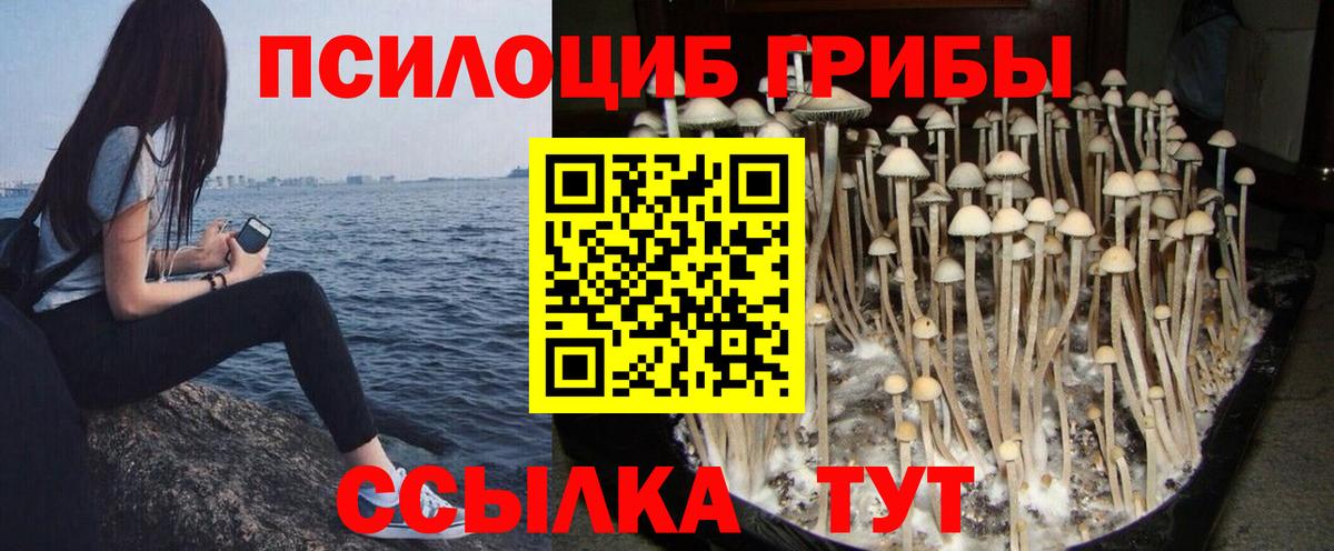 Псилоцибиновые грибы GOLDEN TEACHER  Вход с VPN  как найти закладки  Добрянка 